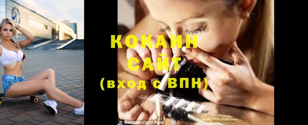 стафф Новодвинск