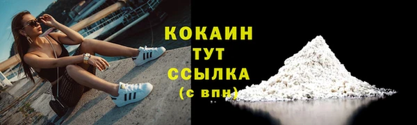 стафф Новодвинск