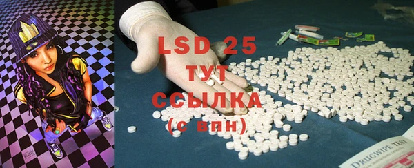стафф Новодвинск