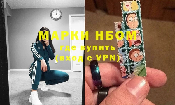 стафф Новодвинск