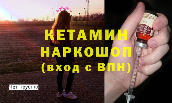 стафф Новодвинск
