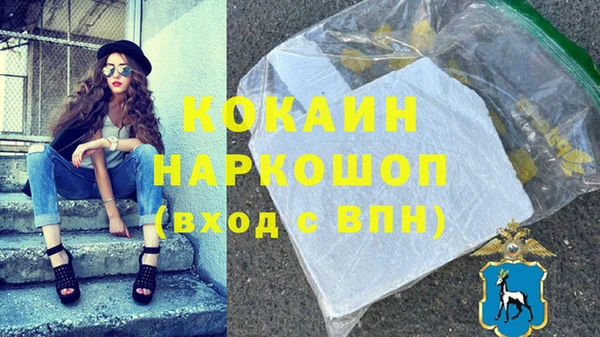 стафф Новодвинск