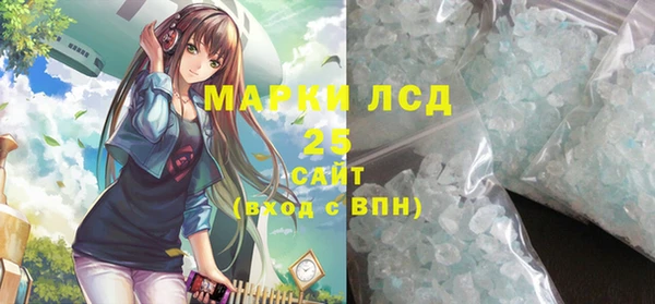 стафф Новодвинск