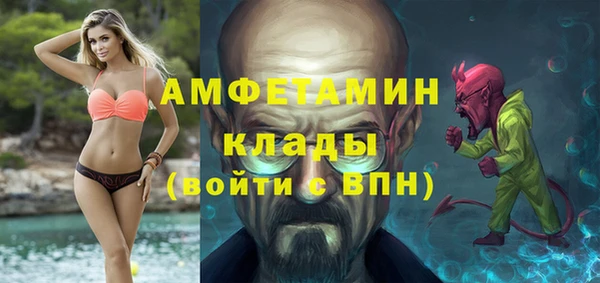 стафф Новодвинск