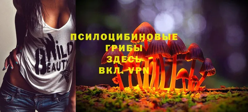 Галлюциногенные грибы Magic Shrooms  Оленегорск 