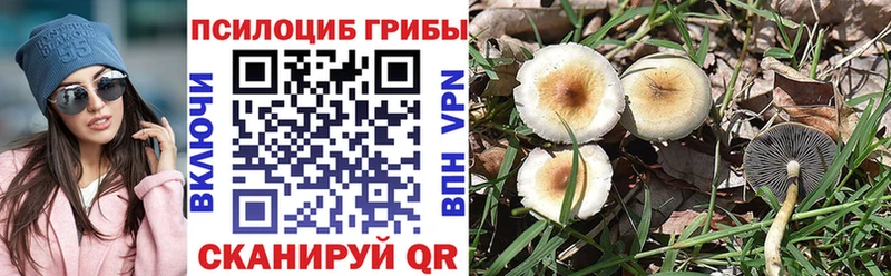 Галлюциногенные грибы мицелий Оленегорск